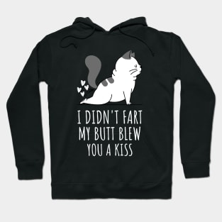 I Didnt Fart My Butt Blew You A Kiss Hoodie